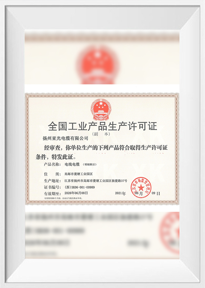 Produkční licence 2021